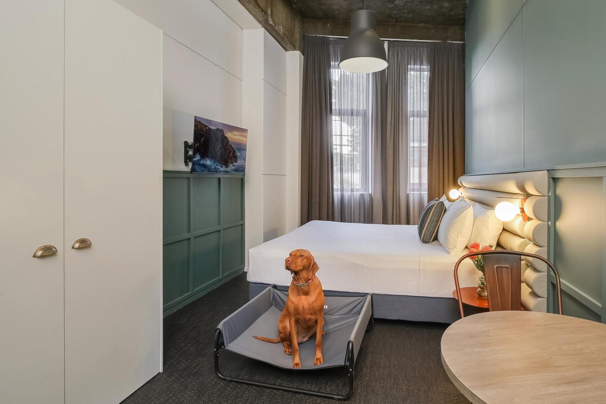 The Urban Newtown Hotel Sydney Bagian luar foto
